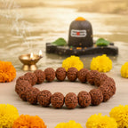 Brown beaded bracelet on a light background