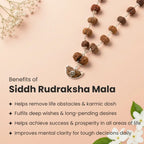 1-14 Mukhi Siddh Rudraksha Mala with Collector Beads ( IGL Lab Certified ) Gemoraa Talk