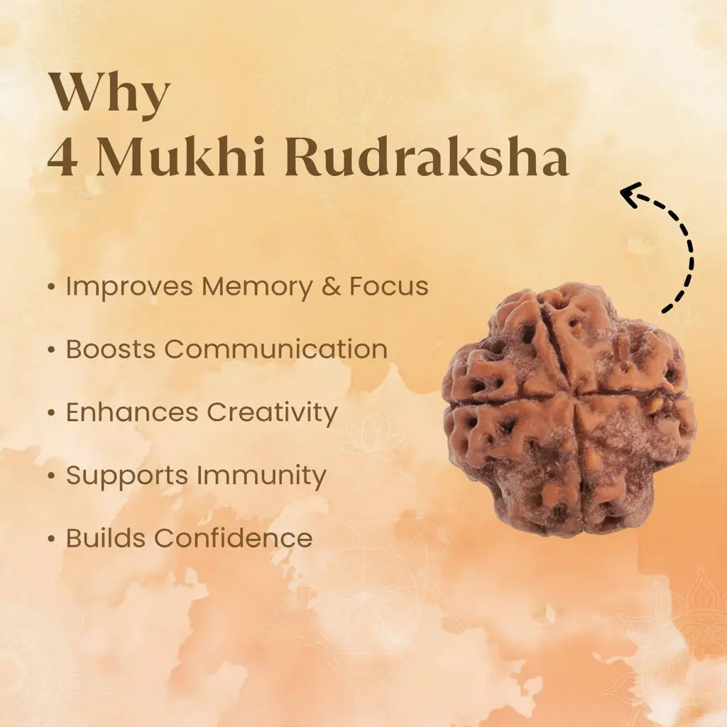 Nepal Origin 4 Mukhi Rudraksha - 17mm to 22mm ( Lab Certified ) Gemoraa Talk