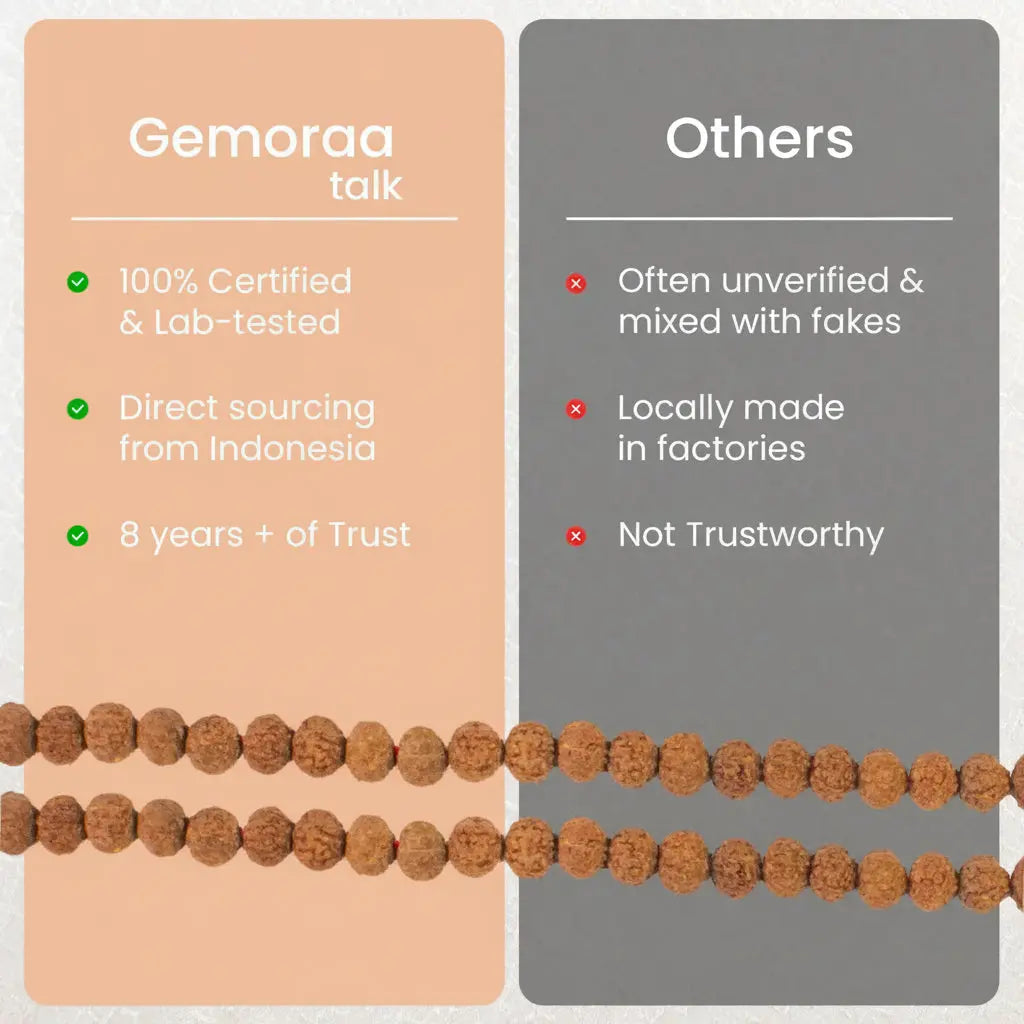 7 Mukhi Rudraksha Mala - 9-10mm , 108+1 beads ( Lab certified ) Gemoraa Talk