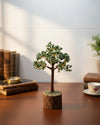 Green Jade Tree