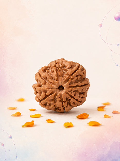Rudraksha