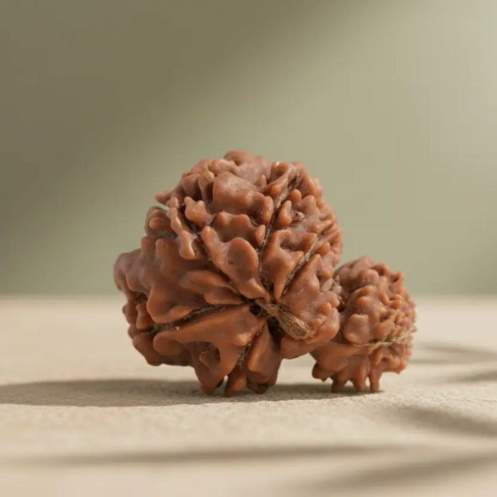 Garbh Gauri Rudraksha Gemoraa Talk