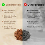 Nepal Origin 4 Mukhi Rudraksha - 17mm to 22mm ( Lab Certified ) Gemoraa Talk